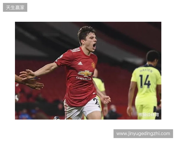 内维尔:切尔西实力能进欧冠区,但与争冠球队差距明显 内维尔:切尔西实力能进欧冠区,但与争冠球队差距明显