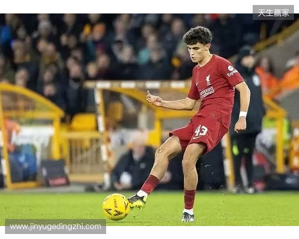 电讯报：伊萨克或缺席2个月，利物浦将被迫冬窗进行锋线引援